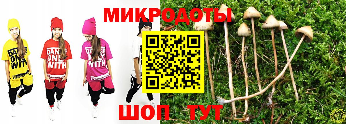Псилоцибиновые грибы мицелий Губкин