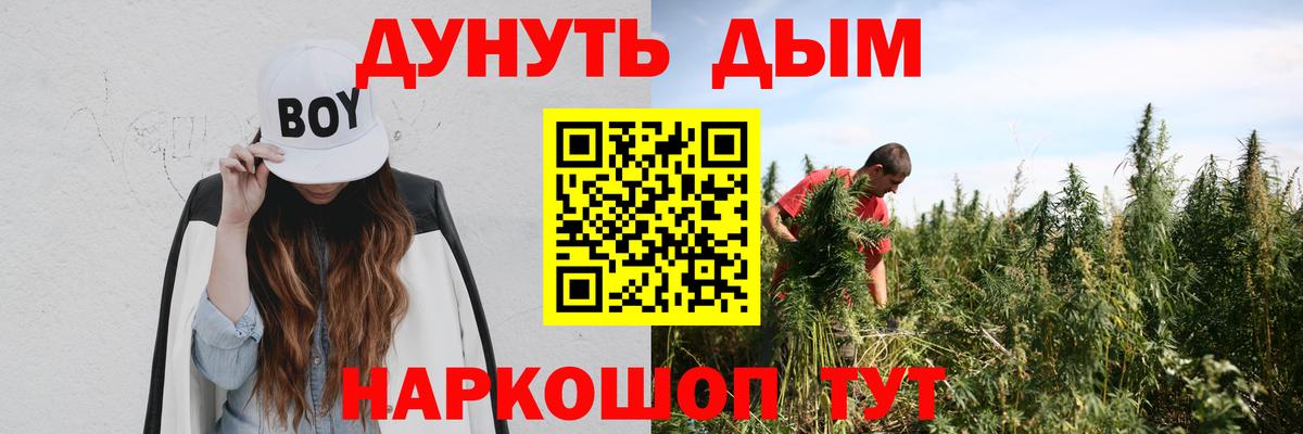 Конопля OG Kush  Каннабис индика  Вход с VPN  Губкин  МАРИХУАНА ГИДРОПОН 